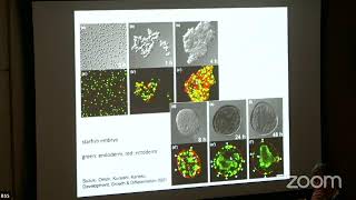 Active matter models of mechanobiology III  J Yeomans July 18 BSS 2024 [upl. by Ingelbert]