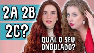 COMO IDENTIFICAR O SEU TIPO DE CABELO 2A 2B OU 2C COM MARI VASCONI [upl. by Nomyar]