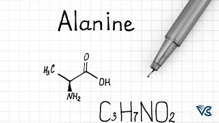 Alanine Amino Acid alanine protein biomolecule podcast aminoacids biomolecules protein [upl. by Madian]