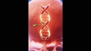 Monoclonal antibodies👍👍 [upl. by Hindorff177]