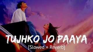 Tujhko jo paaya Slowed  Reverb Nikhil Dsouza  Bollywood hindi lofi song [upl. by Elvis]