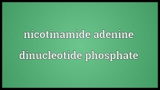 Nicotinamide adenine dinucleotide phosphate Meaning [upl. by Wilhide]