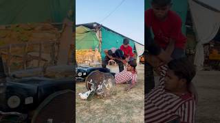 Kabuter ne bola thank 😱🕊️👀petlovers pigeon shortfeed ytshort viralvideo spkabutarclub [upl. by Kannry]