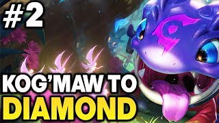 KogMaw Unranked to Diamond 2  Season 13 Kog Gameplay  KogMaw Gameplay Guide  League of Legends [upl. by Monroe71]