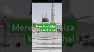 Hamare nabi jaisa koi nahi hai 🌹♥️shorts trending viral shortsfeed islamicstatus islamicquotes [upl. by Orme]