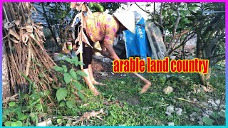 Vlog Daily  Tilling the soil to plant trees [upl. by Ziul668]