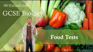 Food Tests Core Practical  GCSE Biology 91 113B [upl. by Aihsetel]