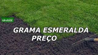 Grama esmeralda preço  Gramas Via Verde [upl. by Anircam]