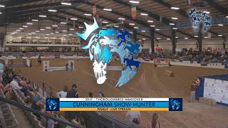 Show Hunter Finale Thoroughbred Makeover 2017 [upl. by Stilwell]