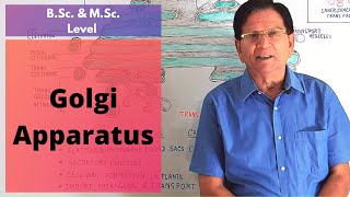 Golgi Apparatus  BSc amp MSc Level Biology [upl. by Ydarb264]