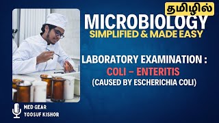 LABORATORY EXAMINATION OF COLI  ENTERITIS தமிழில்  ECOLI BACTERIA 🦠  Microbiology 🧫 MADE EASY [upl. by Summer485]