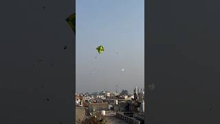 Bathinda Basant Panchami 🪁 Kite Fighting 🪁Patangwala03 bathinda [upl. by Letnahc856]