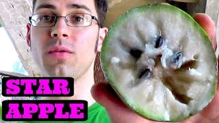 Star Apple Review white purple or chilled comparison  Weird Fruit Explorer Ep 86 [upl. by Dimond]