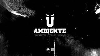 116  Ambiente feat WHATUPRG amp Tommy Royale [upl. by Eelan]