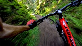 World Cup XC is no joke  Mountain Biking Dalby Forest [upl. by Eyoj896]