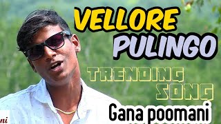 Vellore Pasanga daa  Vellore Gana Song  Gana Poomani [upl. by Flore]