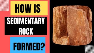 How Are Sedimentary Rocks Formed Weathering Erosion Deposition Compaction Cementation [upl. by Ragas]