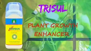 TRISUL Agriya Agro Tech Tamil  Micronol  Plant Growth Enhancer  Fungicide amp PGR  Uses  Dose [upl. by Cassilda]