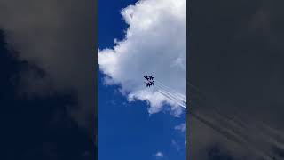 Casual Blue Angels flyby 😮✈️ [upl. by Laurice865]