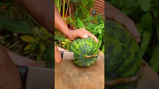 cool satisfying pink watermelon cutting satisfying shorts [upl. by Akcirderf]