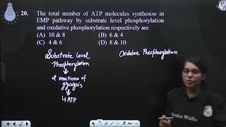 The total number of ATP molecules synthesise in EMP pathway by substrate level phosphorylation a [upl. by Legin]