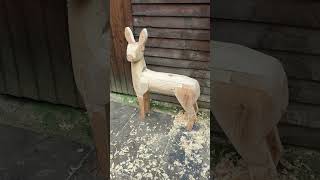 wooden roebuck [upl. by Amery]