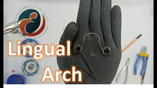 How to construct a LINGUAL ARCH [upl. by Lindell]