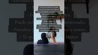 Ideal para tener una espalda sana 🤍✨️espalda onlineclass stressrelie yoga yogasomatico [upl. by Ahsekyw38]