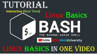 Linux Tutorial Linux Basics in One Video [upl. by Ecirpak]