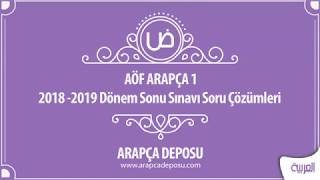 AÖF Arapça 1  2018  2019 Dönem Sonu Çıkmış Soru Çözümleri [upl. by Pulchi517]