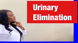 NCLEX Practice for Urinary Elimination [upl. by Ailev]