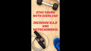 Revitalize Your Body Exercise for More Mitochondria and Boundless Energy [upl. by Airtened]