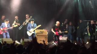 Madness Madness Wilko Johnson BELLADRUM 2016 [upl. by Einnij]