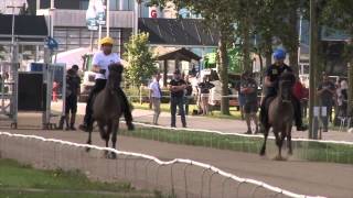 Guðmundur Einarsson P1 World record WC Icelandic Horses IslandpferdeWM VM Islandshästar 2015 [upl. by Carlye796]