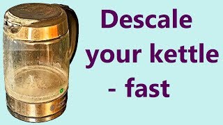 How to descale a kettle with vinegar  fast [upl. by Levitan635]