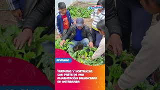 Verduras y hortalizas son parte de una alimentación balanceada en Antabamba [upl. by Hedvah]