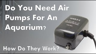 How Do Air pumps Work And Do You Need It For An Aquarium [upl. by Ellerehs]