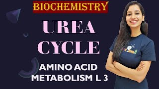 Urea Cycle I Ornithine cycle I Amino Acid Metabolism Lecture 3 I Biochemistry I Unit 1 [upl. by Cavit583]