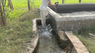 Tubewell swimming in village Pakistan 2024 [upl. by Nale]