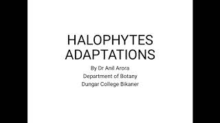 HALOPHYTES ADAPTATIONS [upl. by Steinway]