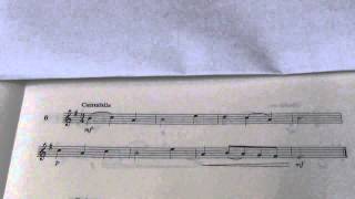 Violin Grade 2 Sight Reading No 6 Cantabile [upl. by Nnaarat666]