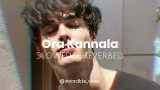 Ora Kannala  AK Sekaren  Slowed  Reverbed  Indian Vibes☀ [upl. by Anasxor]