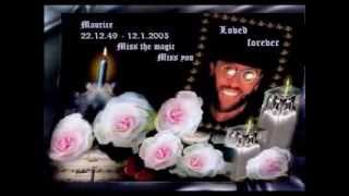 In Memory of Maurice Gibb Immortality [upl. by Iroj922]