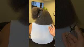 The trimming process is so satisfying 🤩shorts hairstyles naturalhair haircut fypシ゚viral [upl. by Adnalay]