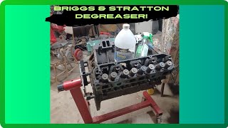 Briggs and Stratton Degreaser Review [upl. by Joy]