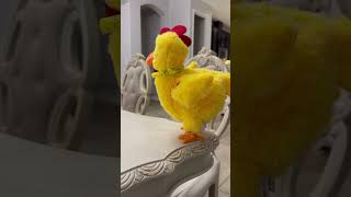 Funny 🐥🐥🐥 toys toy chicken part3 shortshorts [upl. by Barrada]