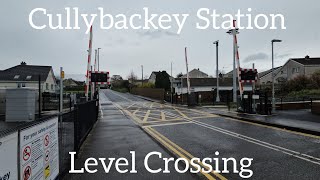 Cullybackey Station Level Crossing Ballymena Thursday March 21032023 [upl. by Ellennahc]