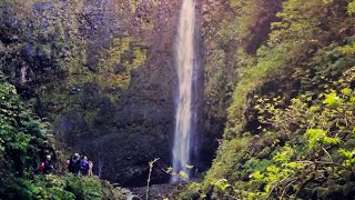 Walking Madeira  quotCaldeirão Verdequot levada walk [upl. by Floss]