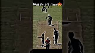 MS Dhoni helicopter shot [upl. by Krenn]