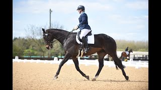 Novice 38 dressage test at ROR winter champs Pickering Grange OTTB [upl. by Eimac]